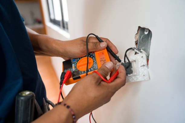 Best Electrical System Inspection  in Fort Denaud, FL