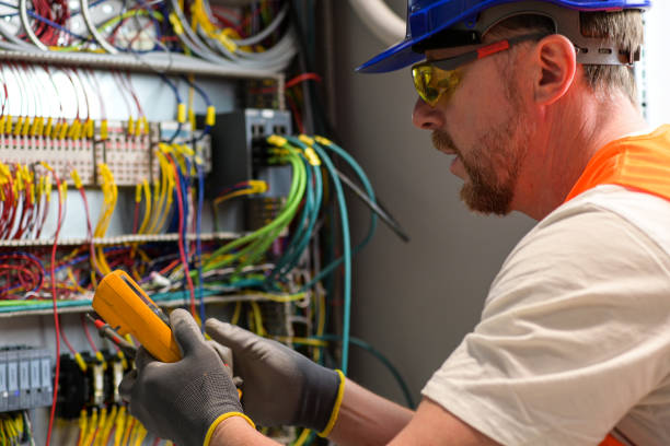 Best Electric Panel Repair  in Fort Denaud, FL