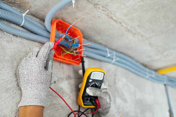 Best Local Electrician Companies  in Fort Denaud, FL
